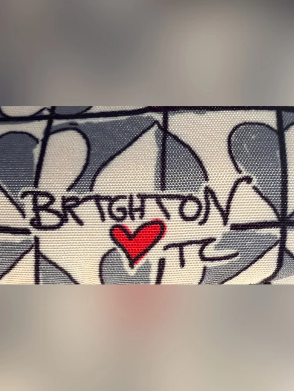 Brighton | Wild Love Cosmetic Travel Bag
